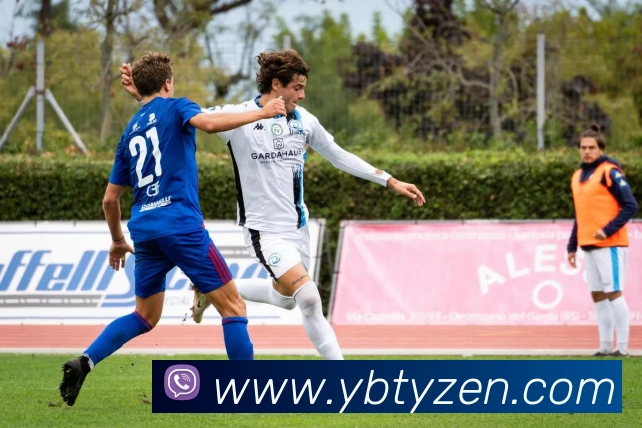 易博体育平台生态图